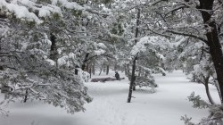 Our first morning At the Grand Canyon.