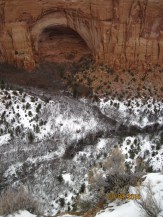 Betatakin Ruin in Navajo NM. The climate was reversed here. Down in the valley there were Aspens and Conifers. Up on top of the mountain was the desert brush. Cool.