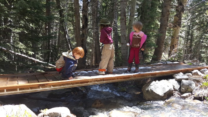 Great Basin National Park - Findyourpark - 100 parks for 100 years - National Park Centennial - BioBlitz - Sign - Centennial Family - Wilde Feathers - Great Basin Bridge